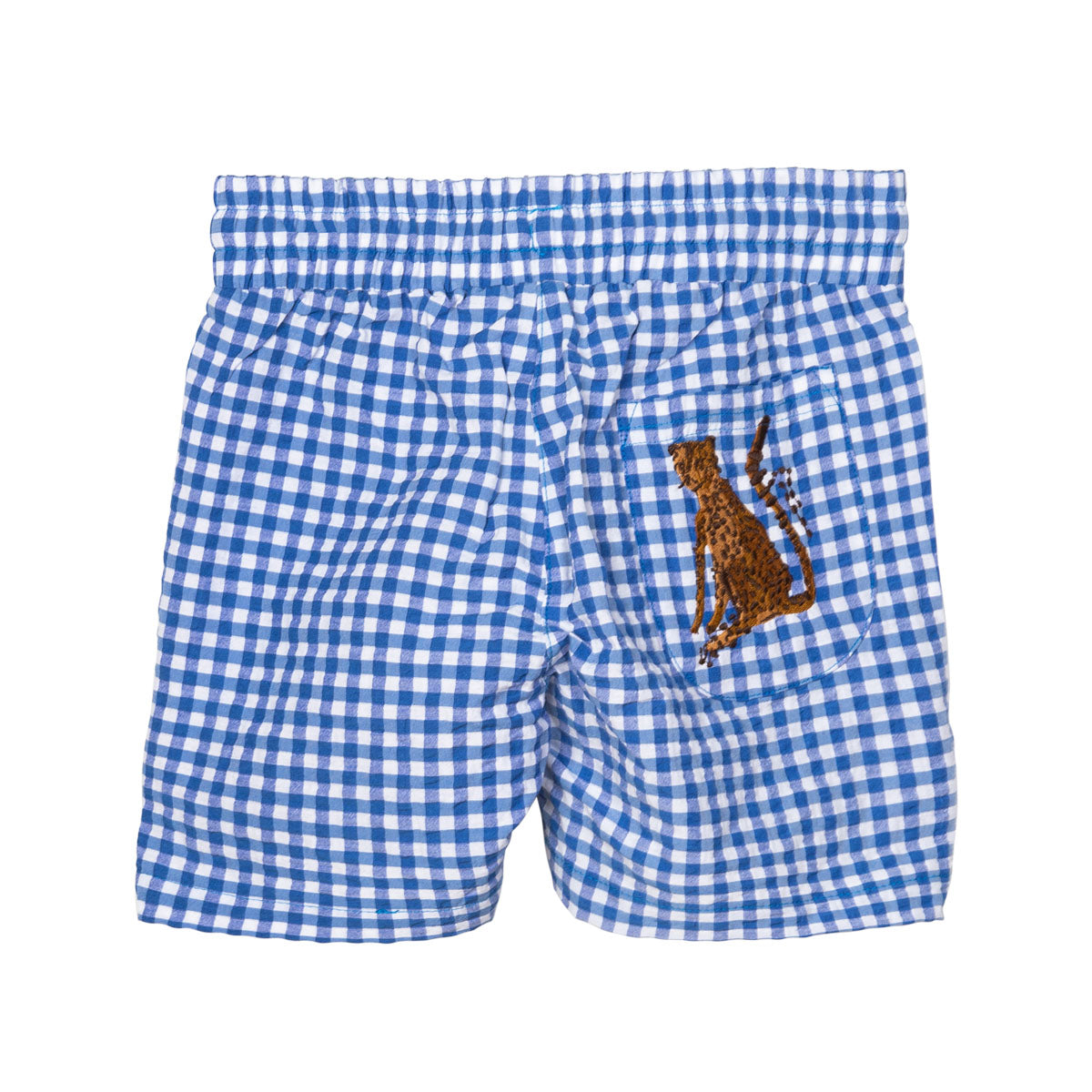 Plaid shorts, blue