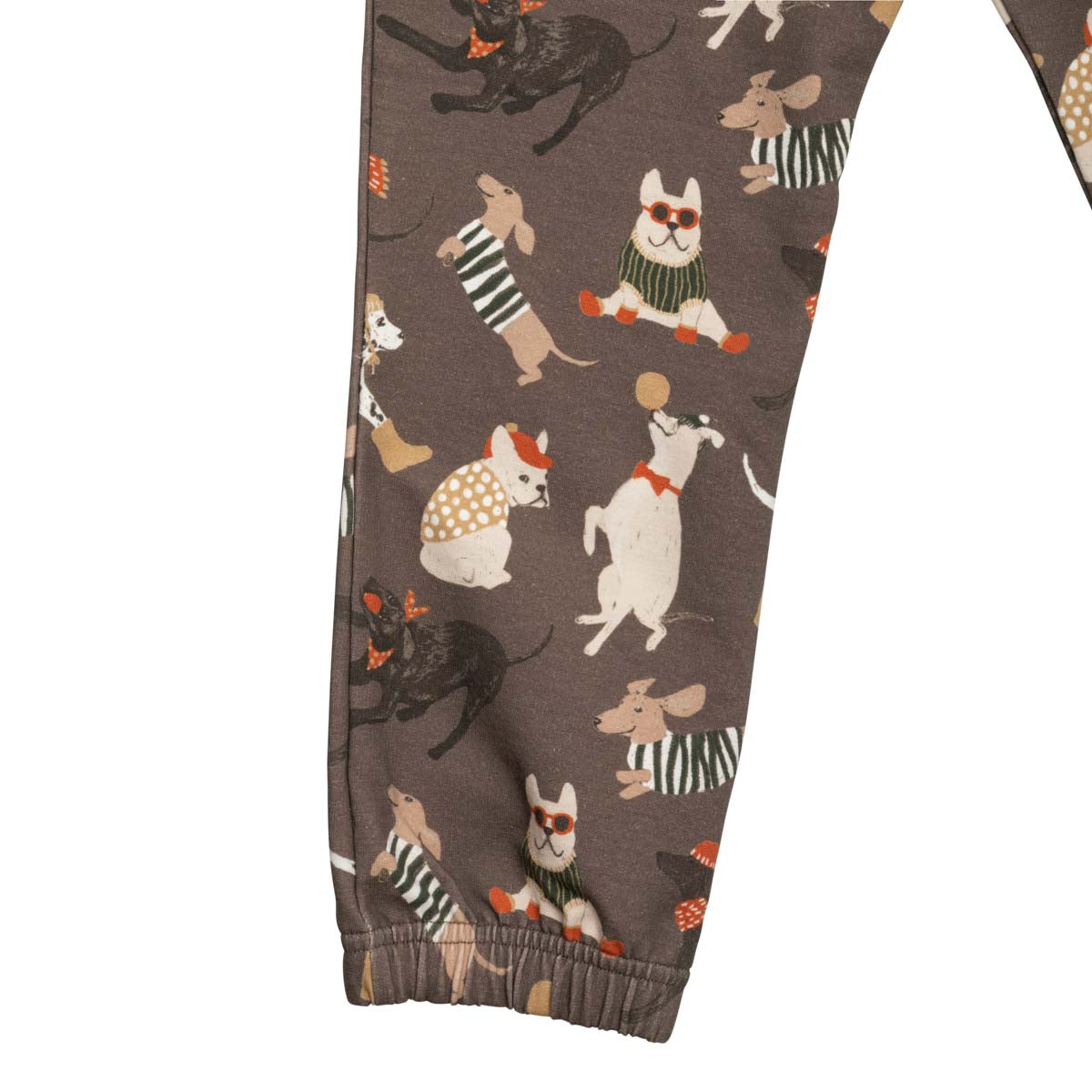 Dogs sweatpants, brown