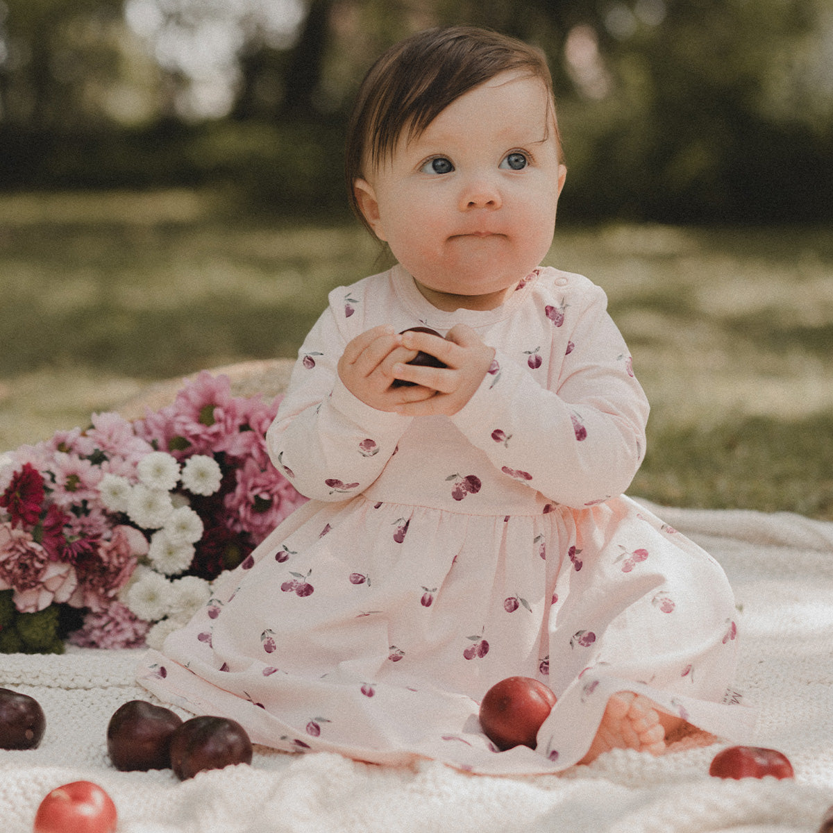 Plums baby dress, light rose